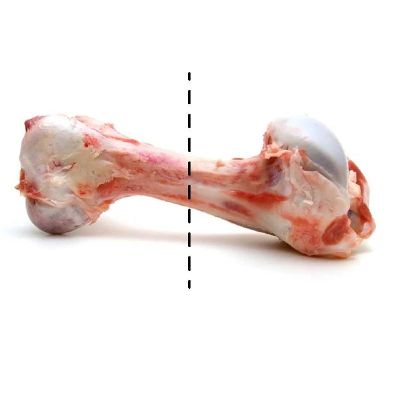  -Non-contact cat thermometerOrganic Marrow Bone Half Cut (Femur Bone) | $7.99kg
