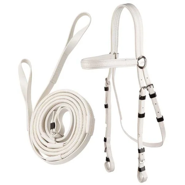 - Car dog seat beltRace Bridle Loop End Reins