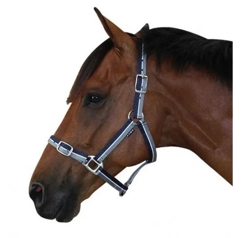 - Pet monitor with cameraDerby Stripe Halter