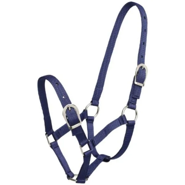 - Elderly dog ​​joint care mattressZilco Small Pony Halter