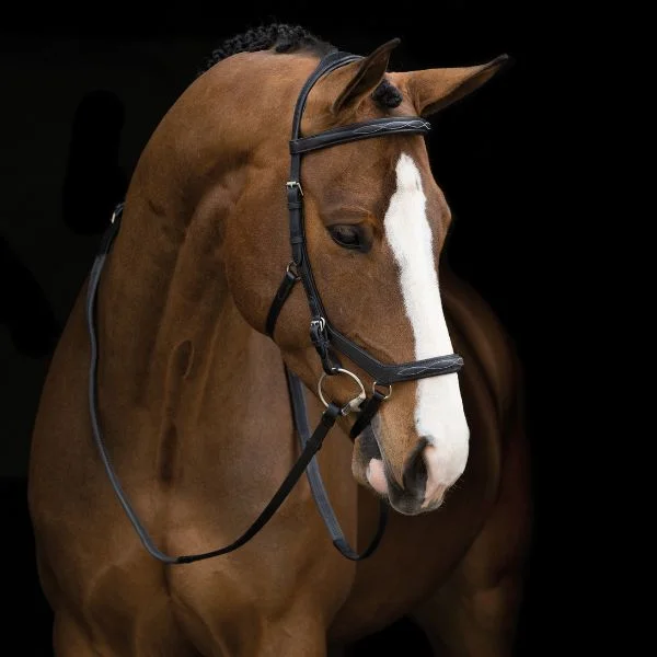  -Explosion-proof leash FOR LARGE dogsRambo Micklem Deluxe Competition Bridle
