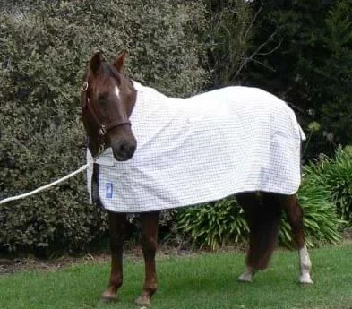 - Pet tear stain cleaning wipesSkye Park Blueline Rug