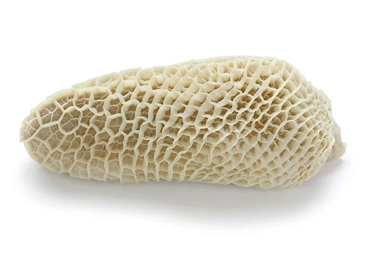 - Natural latex pet mattressHoneycomb Tripe | $17.99kg