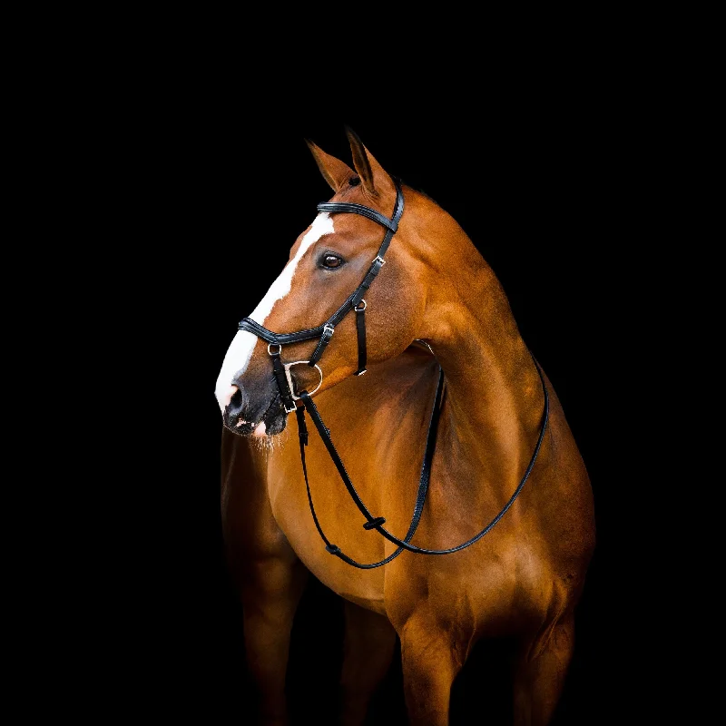 - Pet diabetes prescription foodHorseware Micklem 2 Competition Bridle