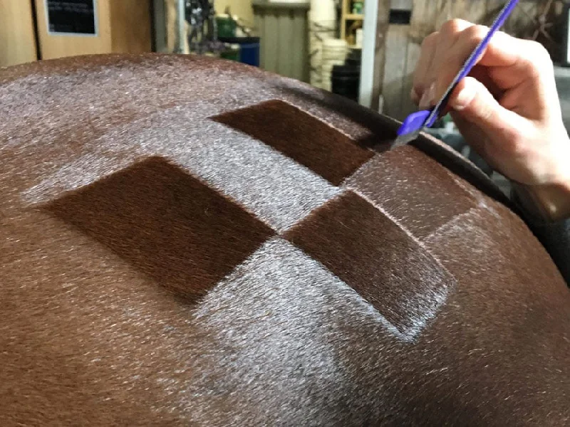 Pet ProductsHairy Pony Quarter Marking Comb