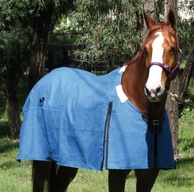 - Natural latex pet mattressZilco Rip Protect Rug