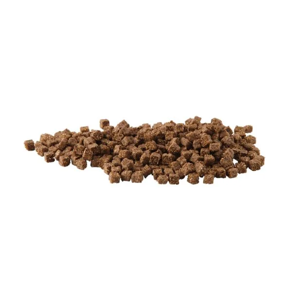 - Elderly dog ​​joint care mattressHygain Tru Breed