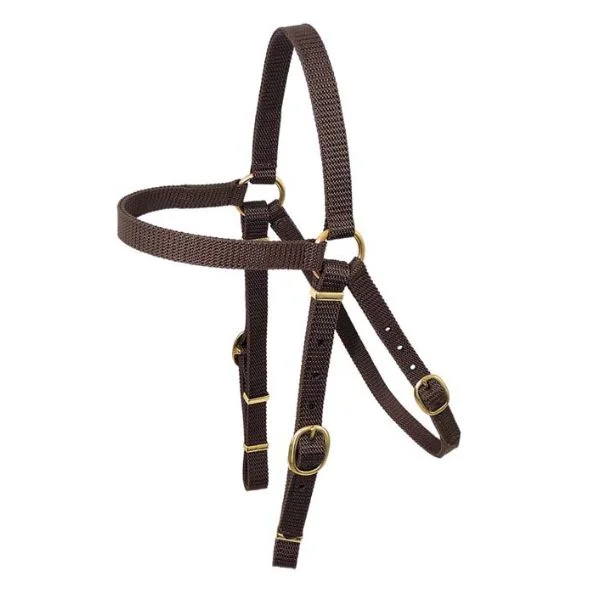 - Rabbit grass rack to prevent waste food boxToowoomba Nyla-Web Barcoo Bridle Head