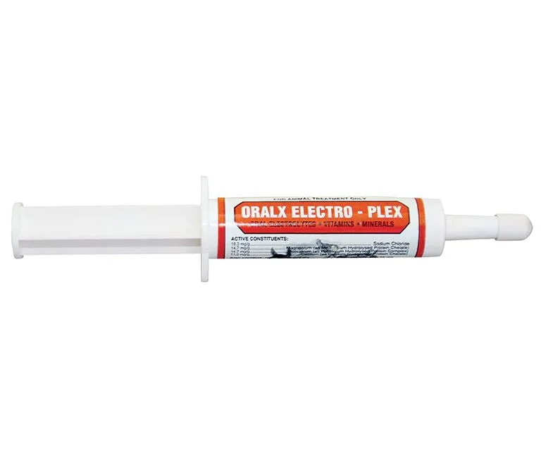 - Cat anti-jump window safety netOralX Electro-Plex Paste