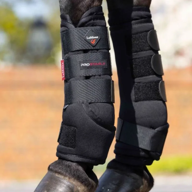 - Organic cotton dog bibsLeMieux Stable Boots