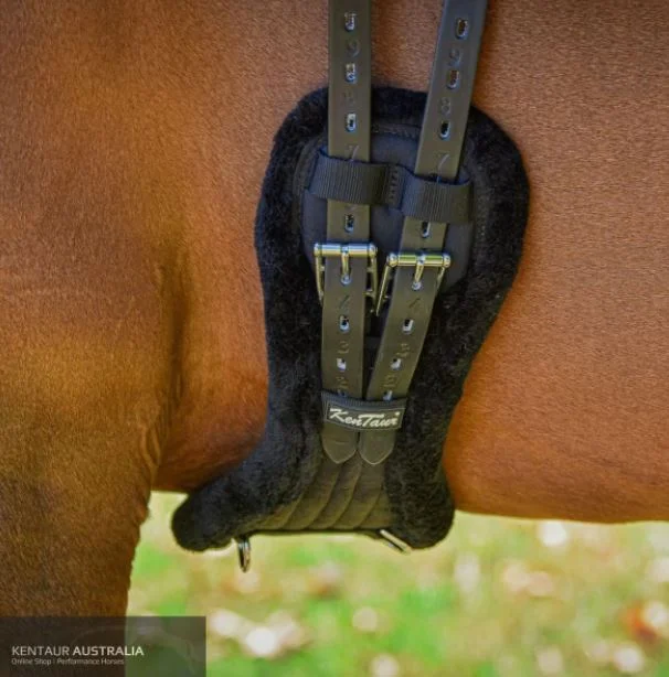 ---Kentaur Stockholm Dressage Girth
