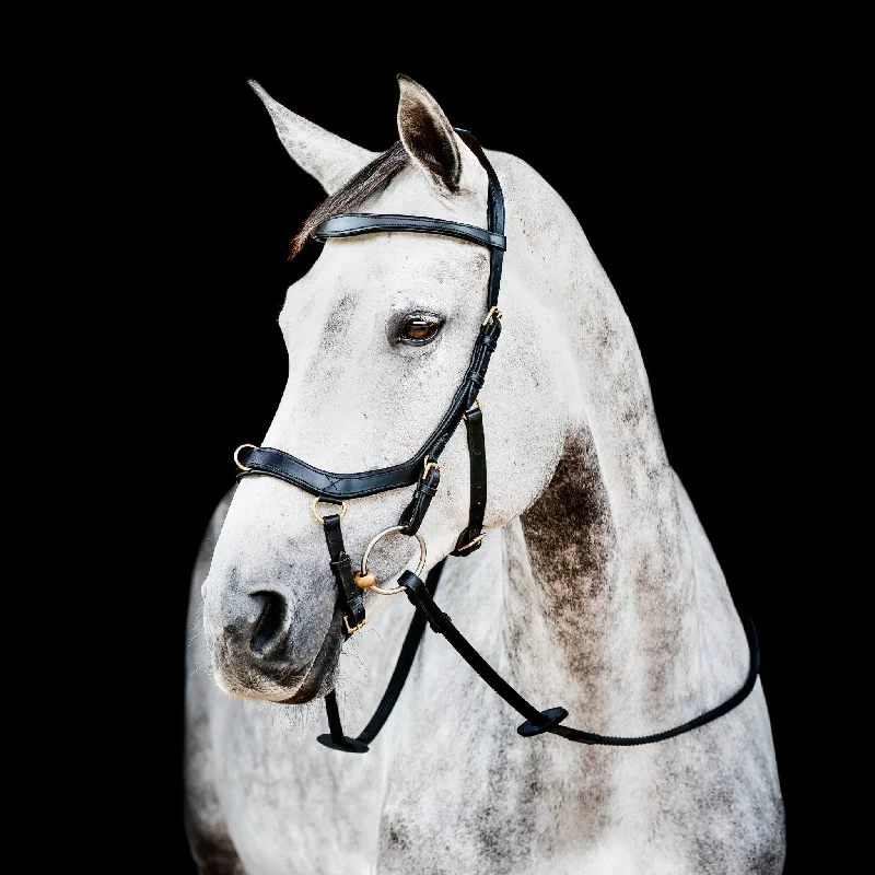 - Organic cotton dog bibsHorseware Micklem 2 Multi-Bridle