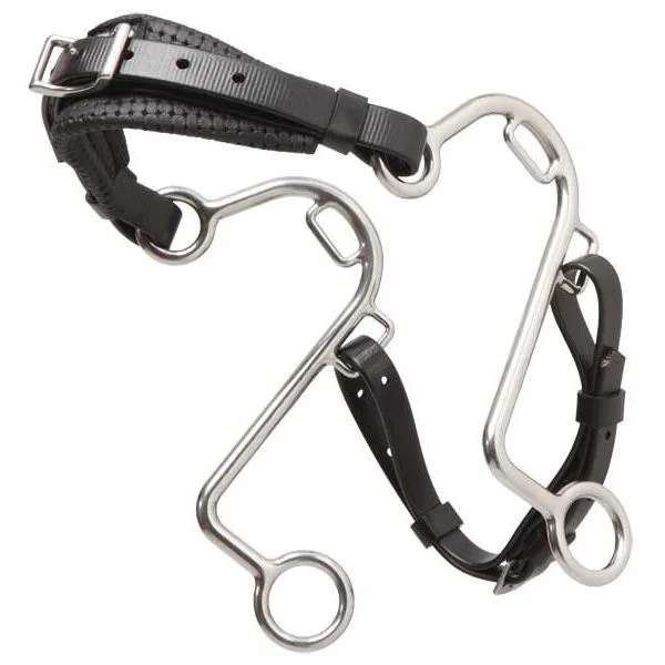 - Teething and chewing toys for puppiesStainless Steel S Hackamore Bit