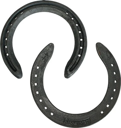 - Pet monitor with cameraConcorde Yearling Unclipped Steel Horse Shoes