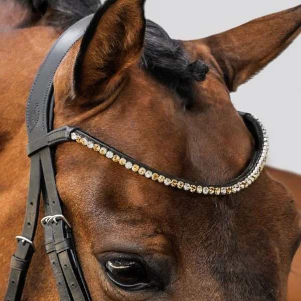 - Elderly dog ​​joint care mattressLumiere Megan Browband