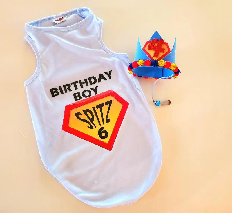 - Winter dog thick down jacketSuperhero Birthday Boy Personalized Dog Outfit