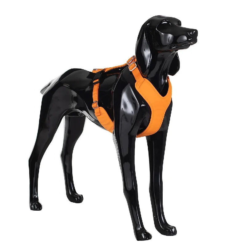 Cat clothesVisibility Dog Harness Orange