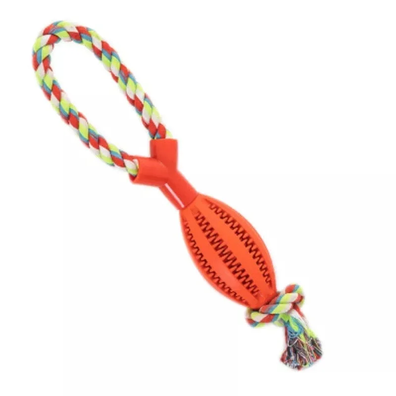 - Pet diabetes prescription foodKUTKUT Durable Dog Chew Toy for Aggressive Chewers - Ultra Tough Natural Rubber Teething Toy, Nearly Indestructible Dog Toy for Medium & Large Breed Chewing, Training, Reduce Anxiety (Orange)