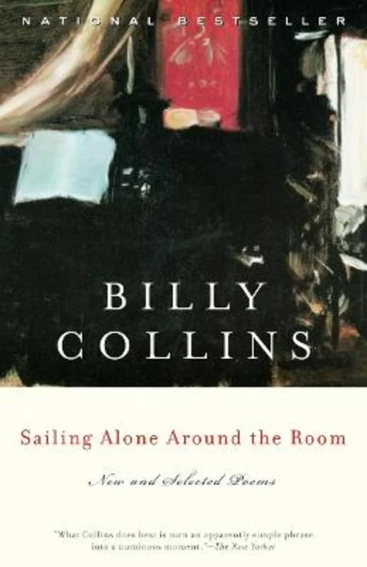 - Postoperative pet anti-licking Elizabethan collarSailing Alone Around the Room