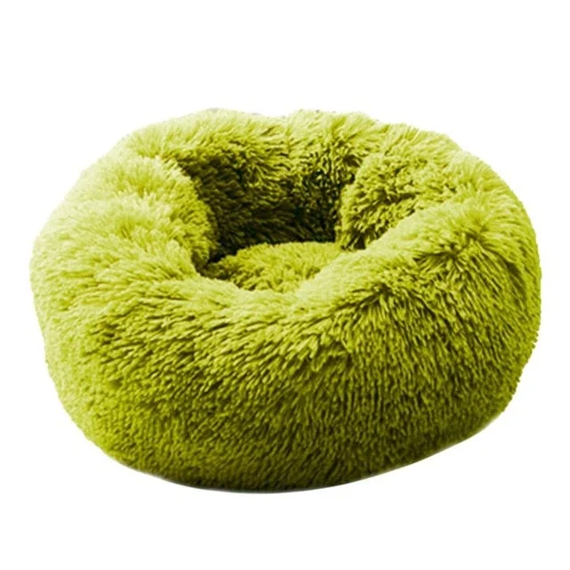 Fruit Green