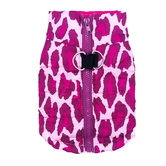 Fushia Leopard