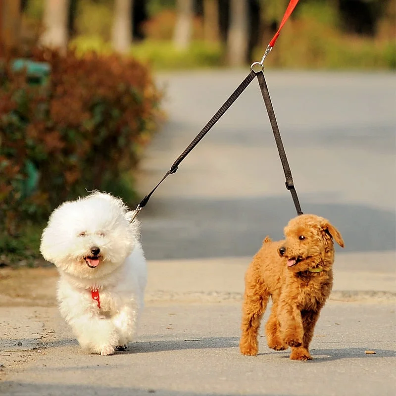 - Durable nylon dog leash wholesaleWALK 2 Two DOGS Leash COUPLER Double Twin Lead Walking Leash - Durable nylon dog leash wholesaleWALK 2 Two DOGS Leash COUPLER Double Twin Lead Walking Leash