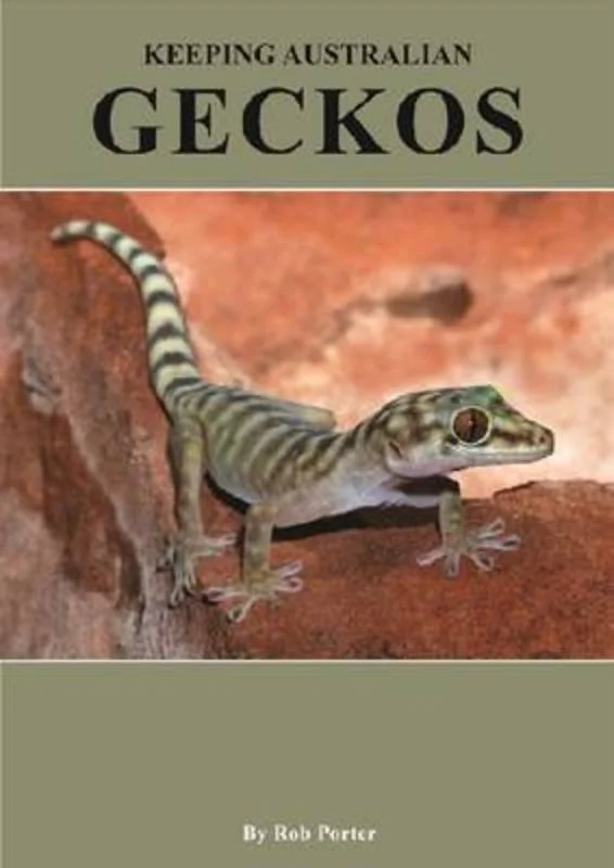 - Cat anti-jump window safety netKeeping Australian Geckos