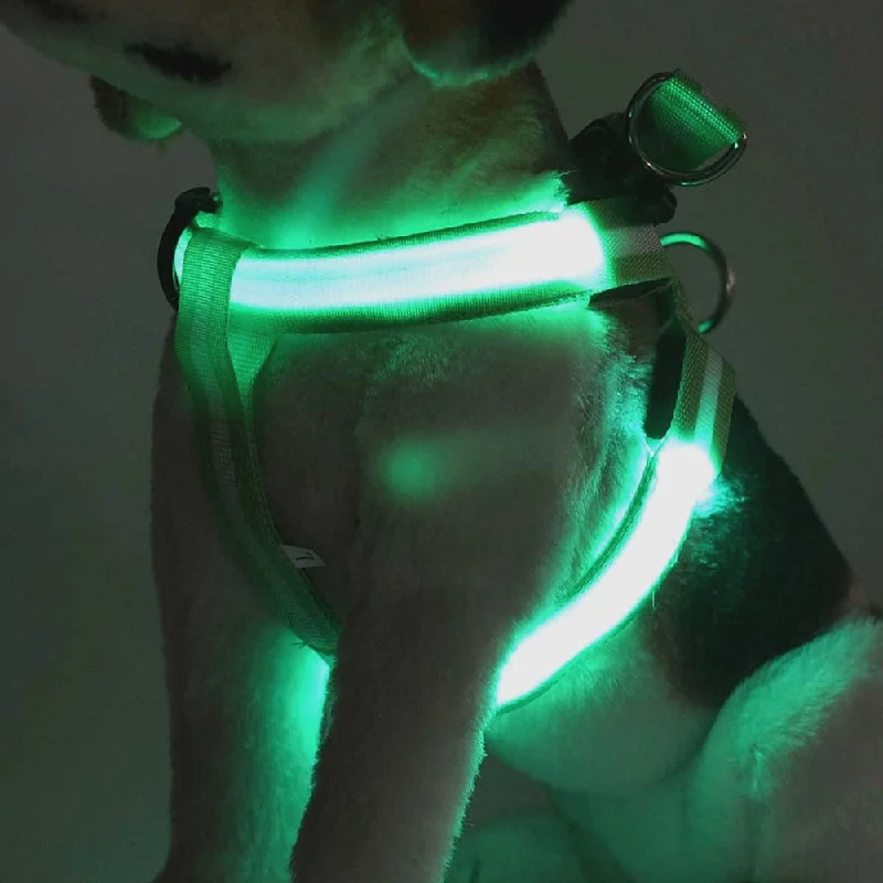 - Cat hair ball removal and hair removal creamRechargeable LED Nylon Pet Dog Cat Harness Led Flashing Light Harness Collar Pet Safety Led Leash Rope Belt Dog Accessories - Cat hair ball removal and hair removal creamRechargeable LED Nylon Pet Dog Cat Harness Led Flashing Light Harness Collar Pet Safety Led Leash Rope Belt Dog Accessories