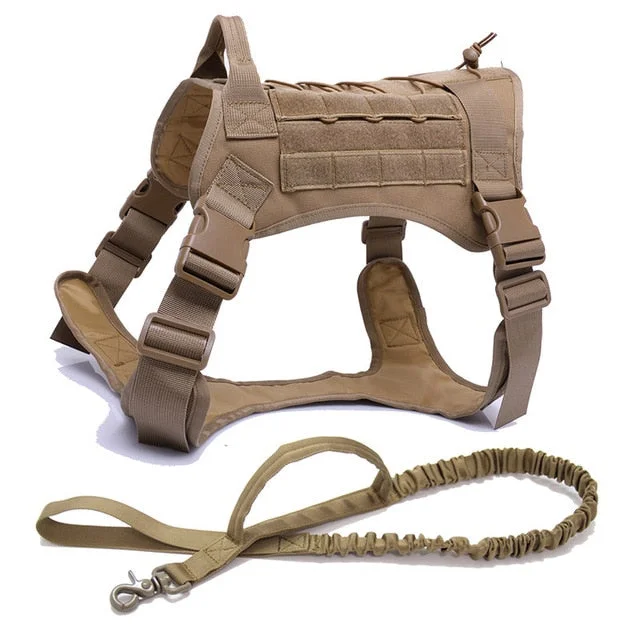 BW Harness and Leash