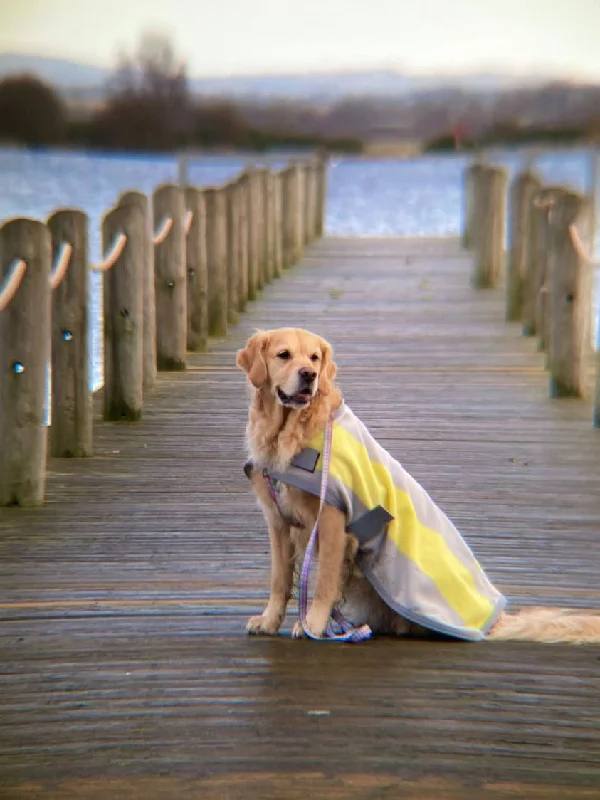 - ​​Christmas pet Christmas clothingGrey and Lemon Fleece Dog Coat