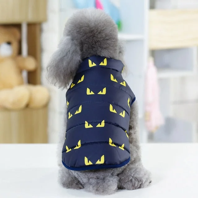 Navy Blue Devil
