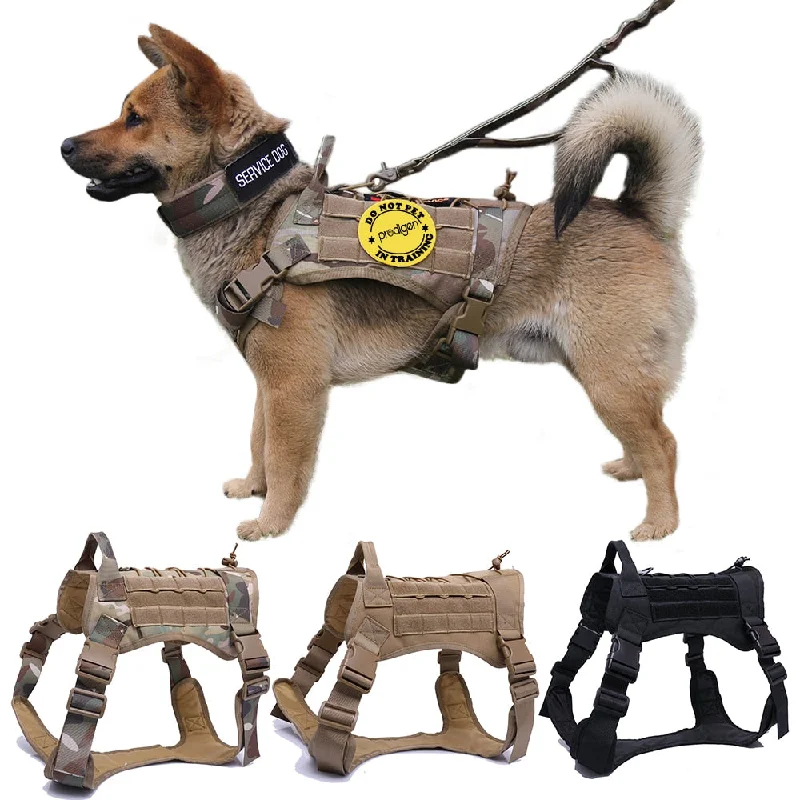 - Parrot climbing and standing wooden frameMilitary Tactical Dog Harness German Shepherd Pet Dog Vest With Handle Nylon Bungee Dog Leash Harness For Small Large Dogs Puppy - Parrot climbing and standing wooden frameMilitary Tactical Dog Harness German Shepherd Pet Dog Vest With Handle Nylon Bungee Dog Leash Harness For Small Large Dogs Puppy