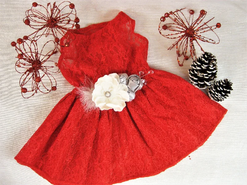 - Degradable pet feces bagHoliday Dog Dress | The Nivia