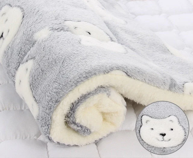 gray bear