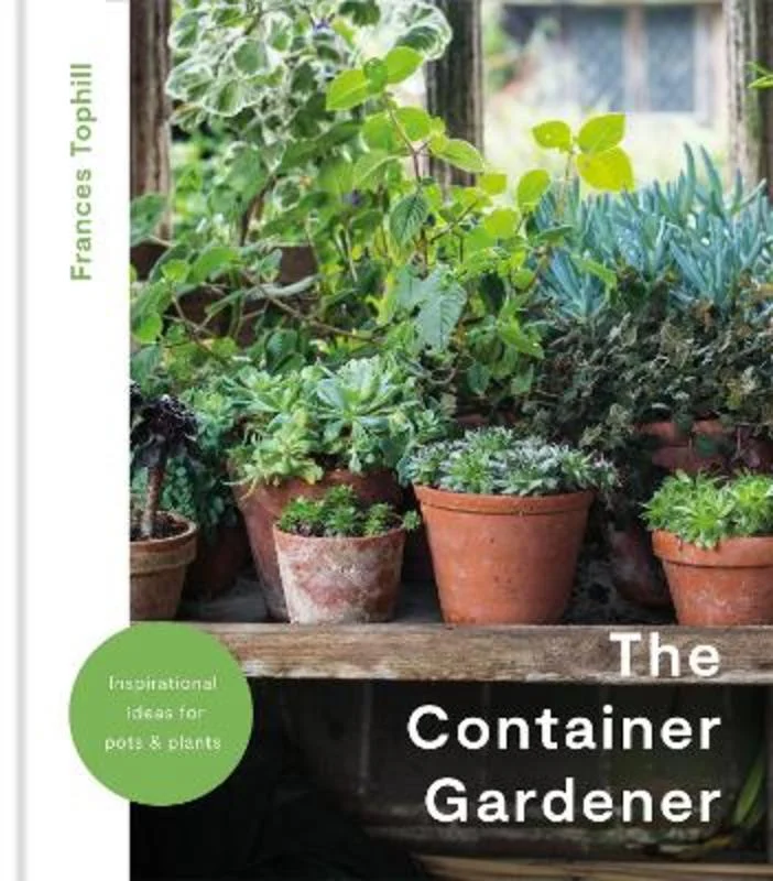 - Custom pet birthday cakeThe Container Gardener