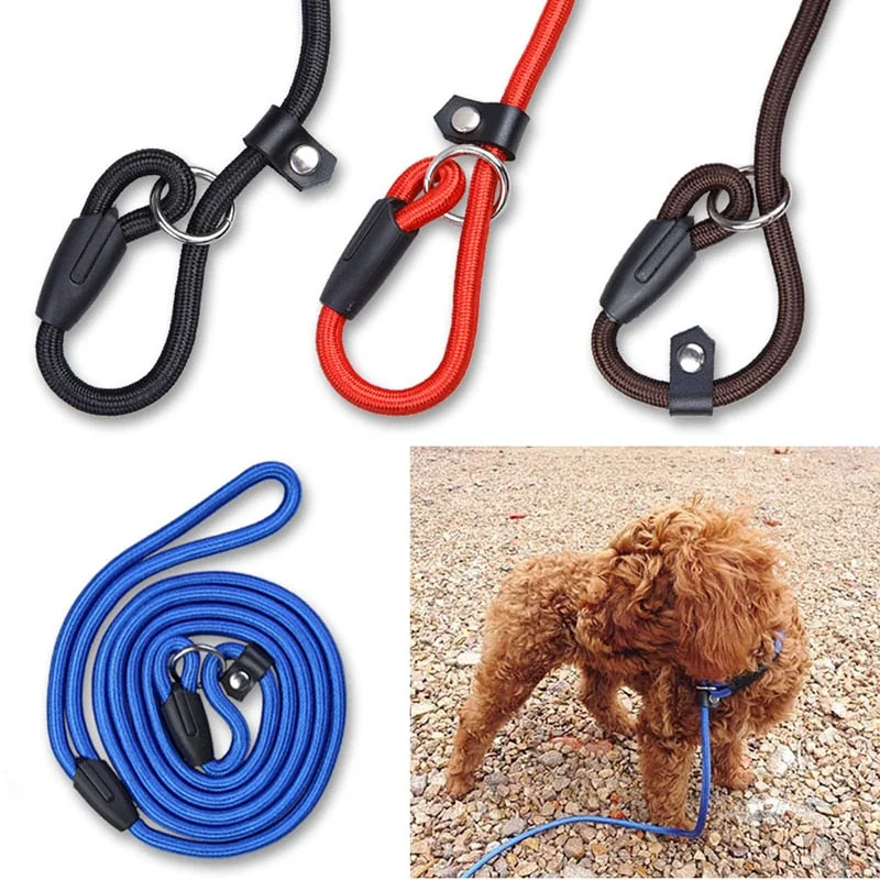- Automatic temperature adjustment cat bedHigh Quality Pet Dog Leash Rope Nylon Adjustable Training Lead Pet Dog Leash Dog Strap Rope Traction Dog Harness Collar Lead - Automatic temperature adjustment cat bedHigh Quality Pet Dog Leash Rope Nylon Adjustable Training Lead Pet Dog Leash Dog Strap Rope Traction Dog Harness Collar Lead