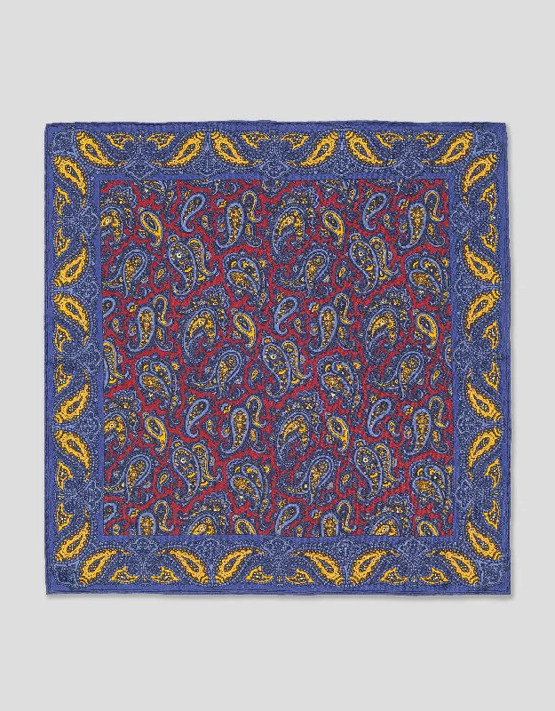 - Pregnant cat delivery room warming boxPAISLEY POCKET SQUARE - RED