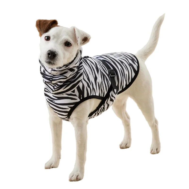 Pet walking leash setCool and Bug Vest Dog Coat