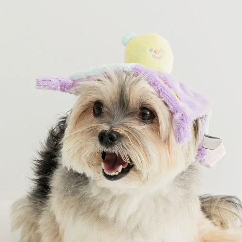 - Summer pet ice matCrinkle Blanket Bear Toy