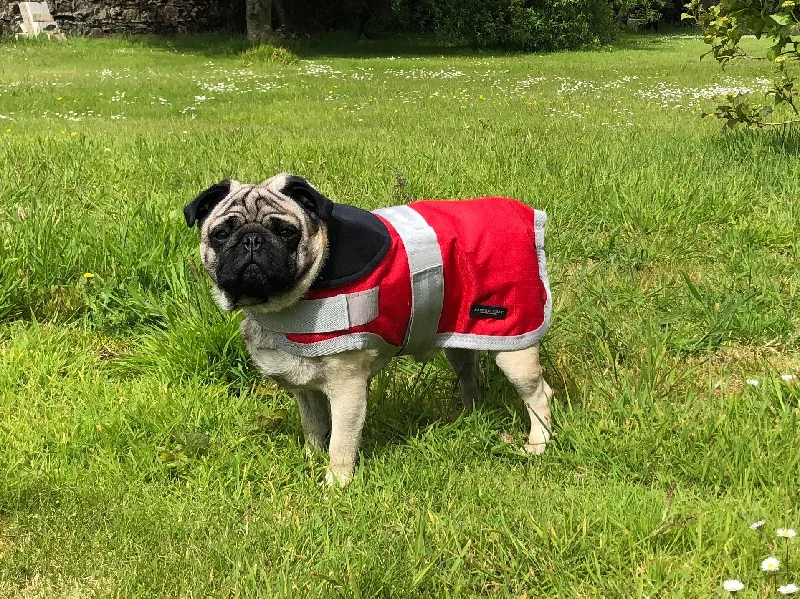 - ​​Pet toys under    yuanWAS £25 now £15 Red Waterproof Dog Coat