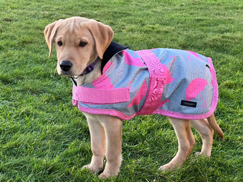 - Remote interactive pet feederPink Umbrellas Waterproof Dog Coat
