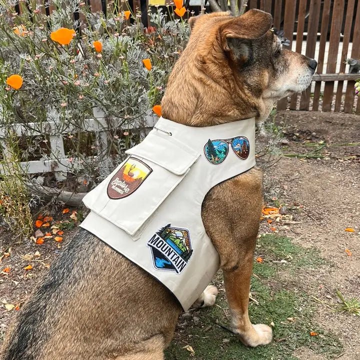 Pet rehabilitation recovery clothes (such as post-operative clothes)Camp Harness Vest in Khaki