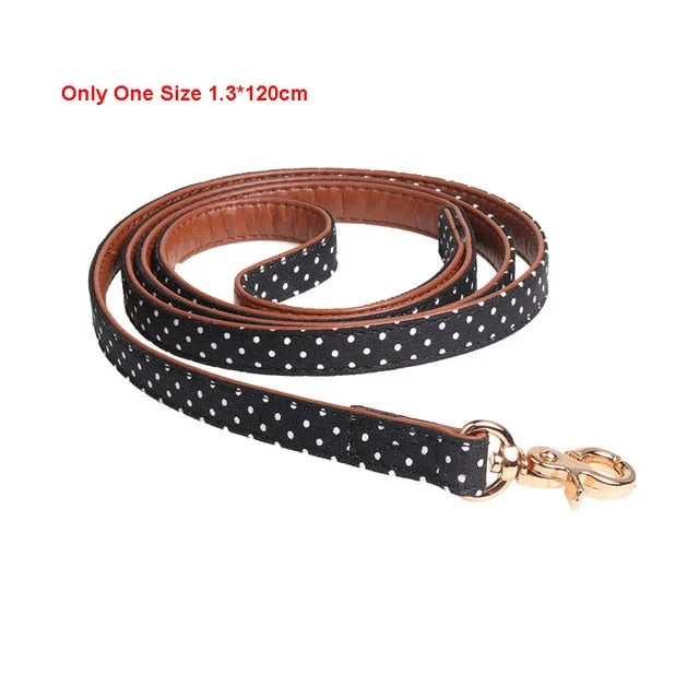 Black Leash