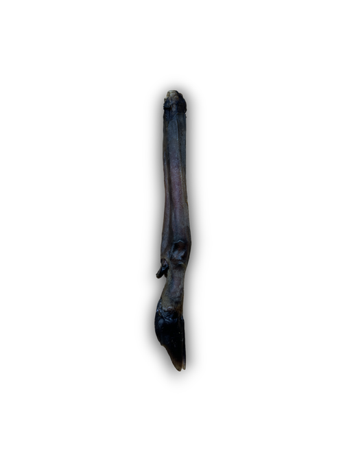 - Parrot climbing and standing wooden frameAnco Naturals Roe Deer Leg