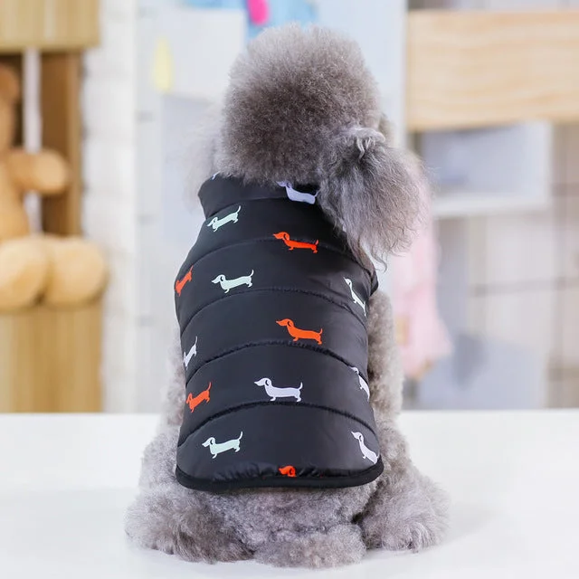 Black Dog