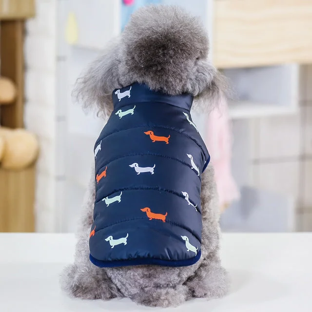 Navy Blue Dog