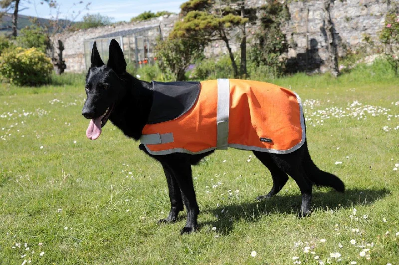 - Postoperative pet anti-licking Elizabethan collarOrange Waterproof Dog Coat - NOW £15 - Postoperative pet anti-licking Elizabethan collarOrange Waterproof Dog Coat - NOW £15