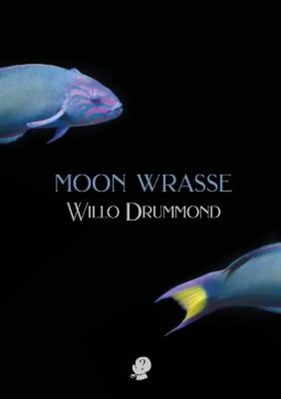 - Pregnant cat delivery room warming boxMoon Wrasse