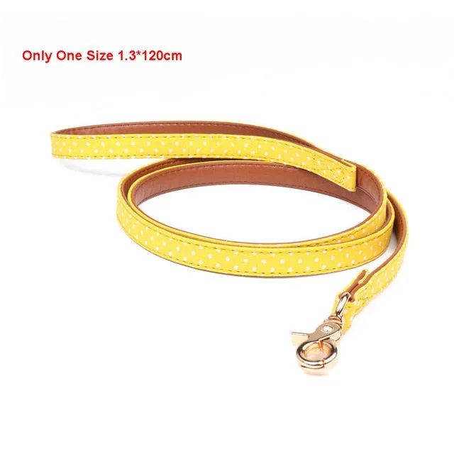 Yellow Leash
