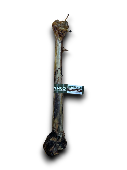 Pet ProductsOstrich caveman bones